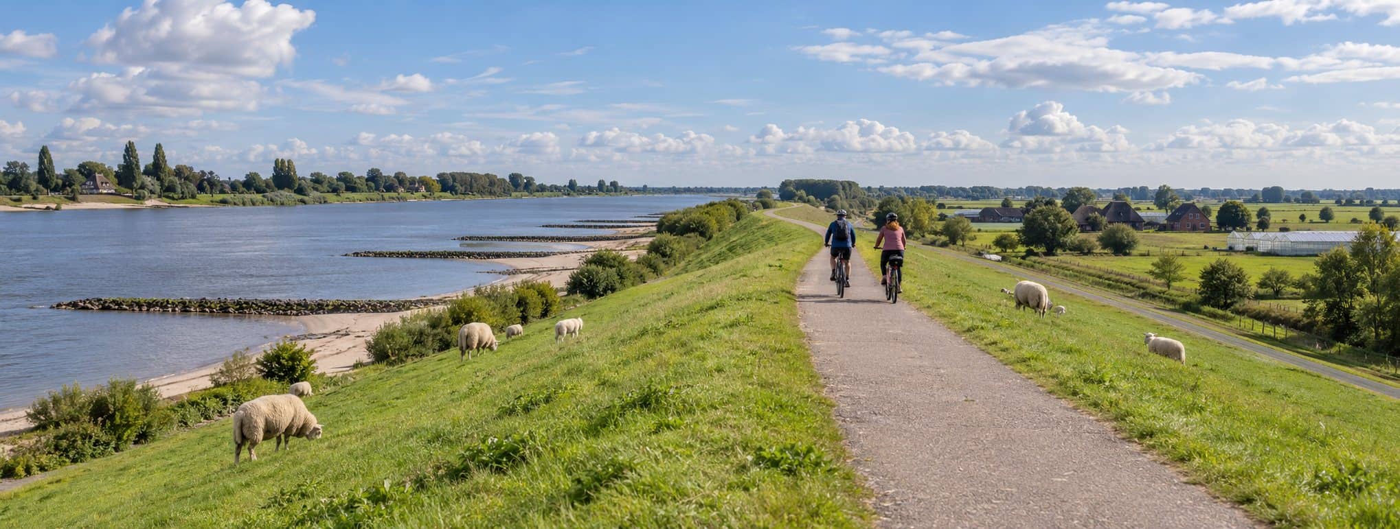 Radweg auf der Deichkrone, links die Elbe, rechts die Marsch